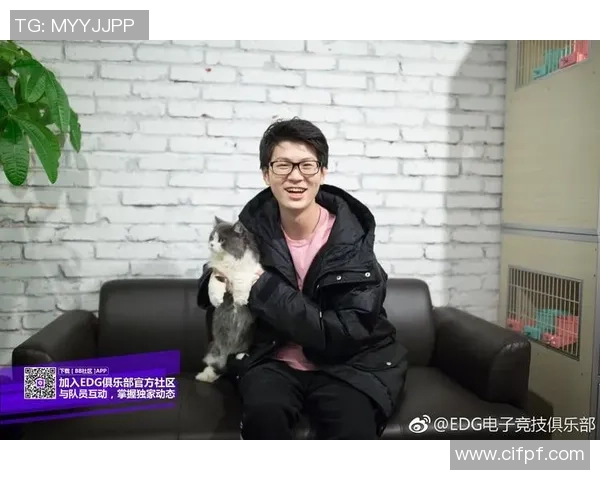 李强独家分享：深入解析排球技巧与心得体会，助你提升竞技水平